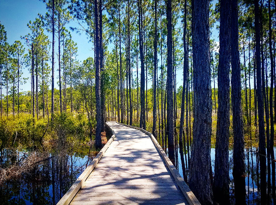Panama City Beach Conservation Park