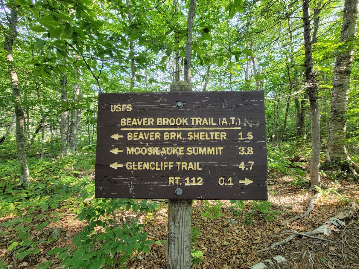 Beaver Brook