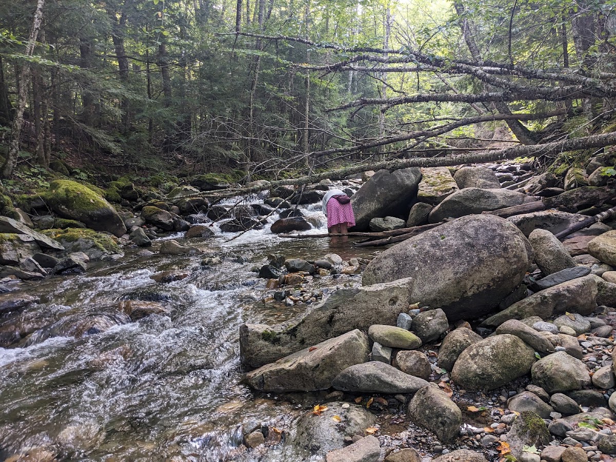 Tunnel Brook