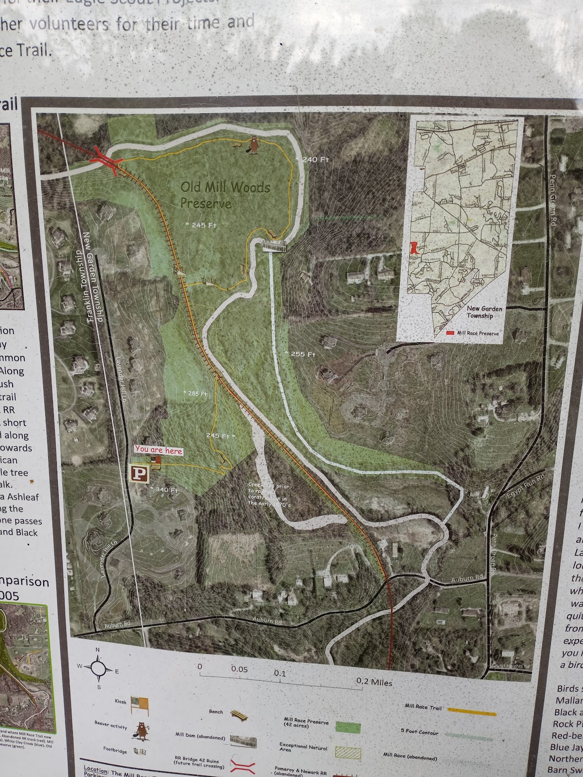 Mile Loop Trail