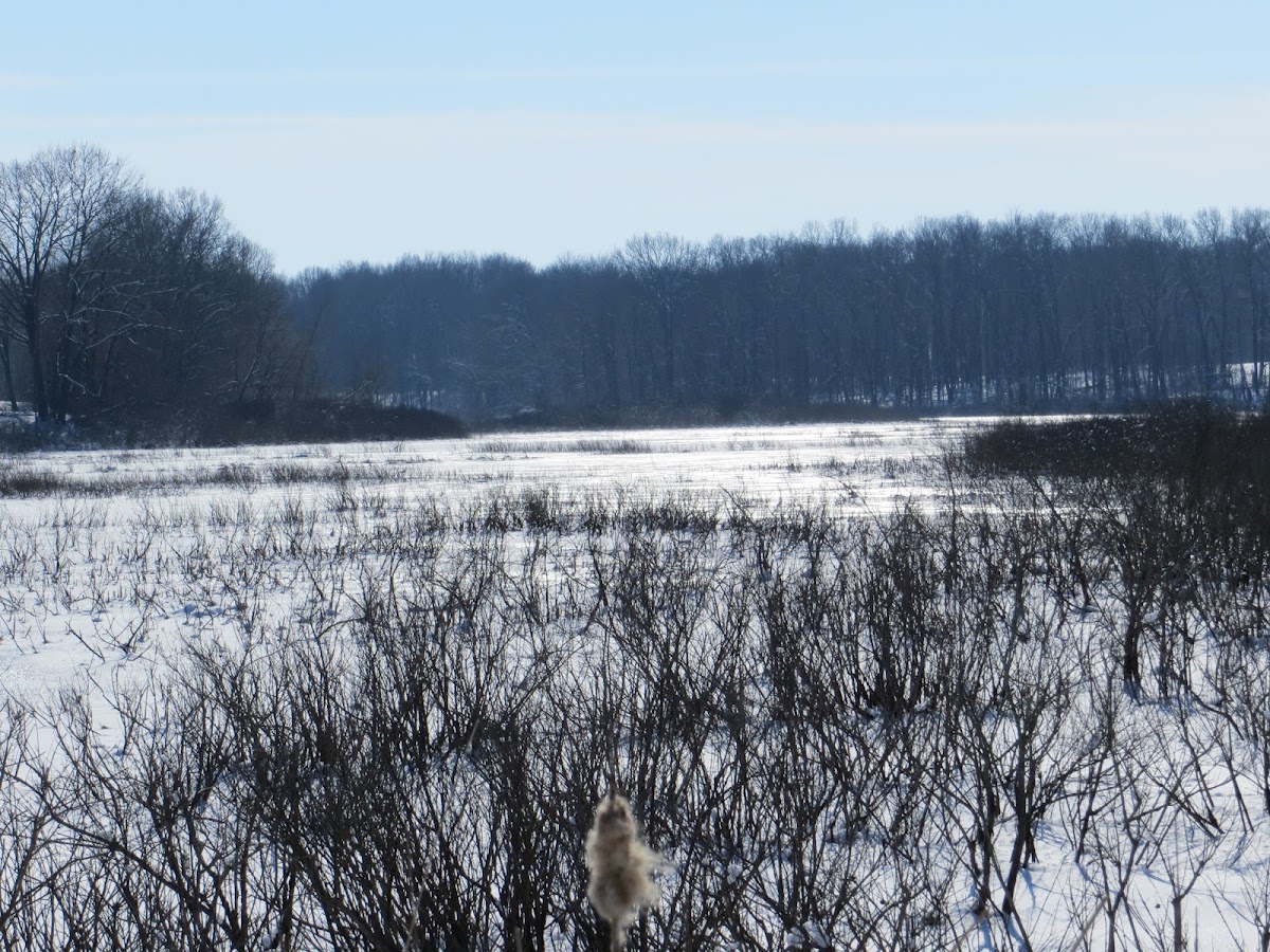 Mud Lake