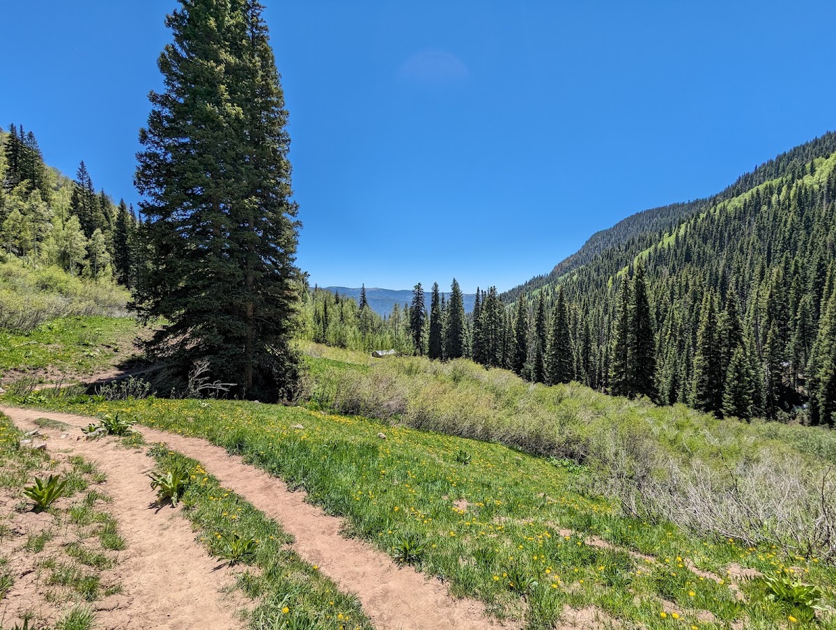 Elbert Creek