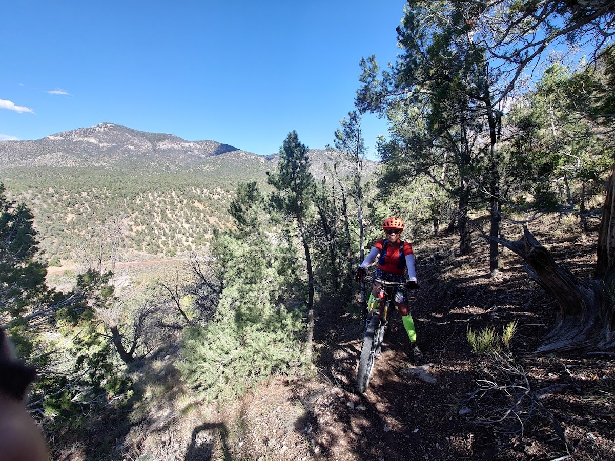 Cave Overlook Loop Trail