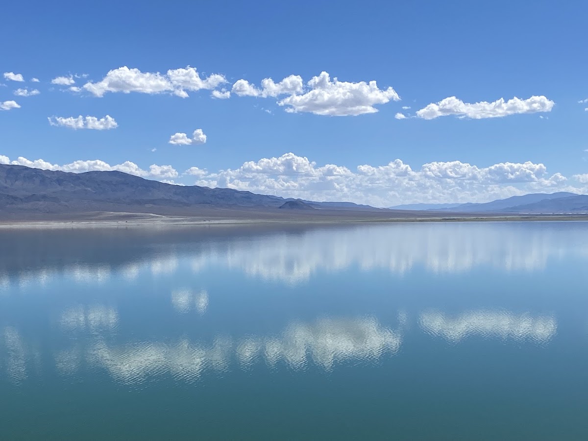 Walker Lake