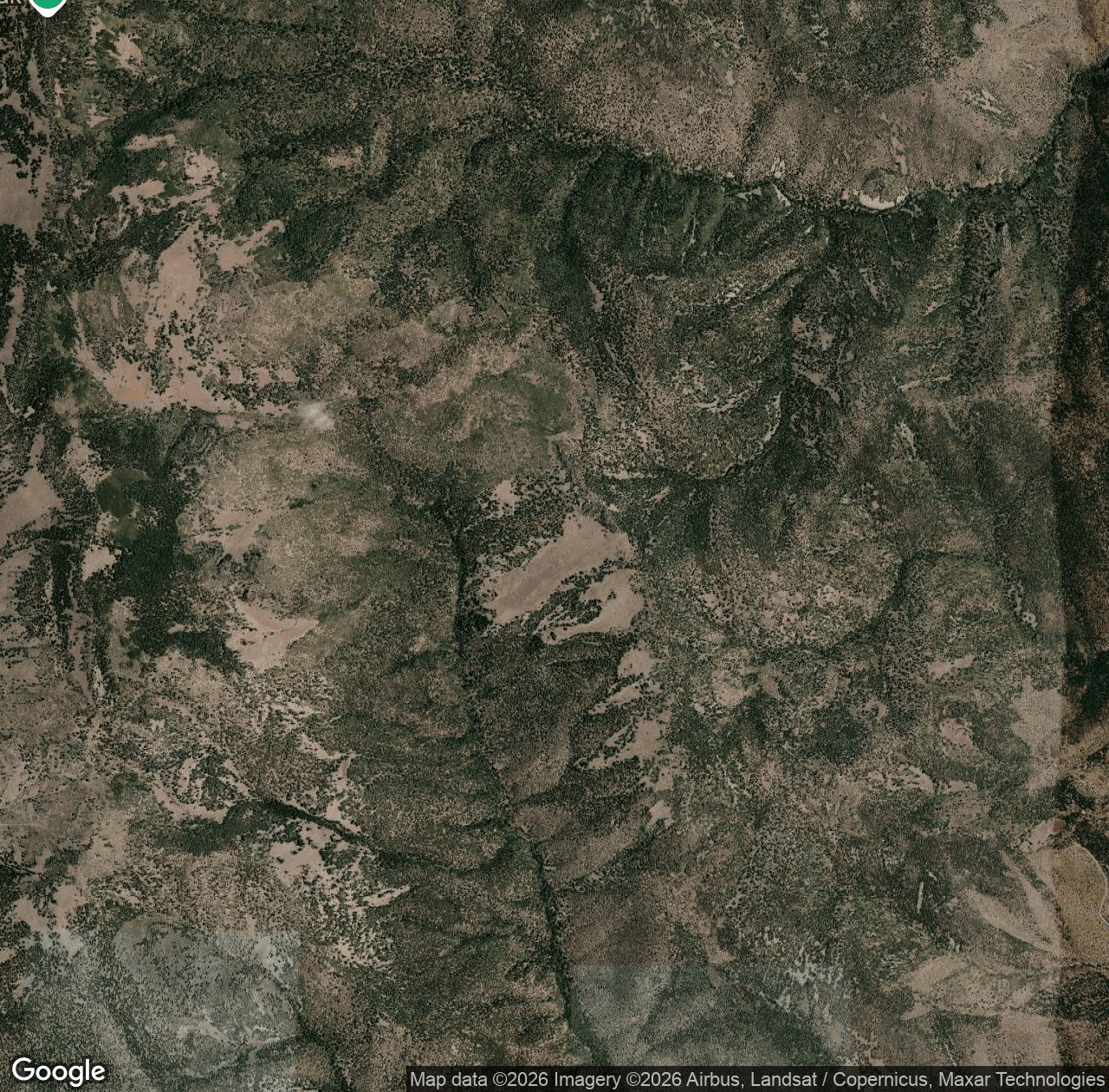 Ryan Hill Trail (17)
