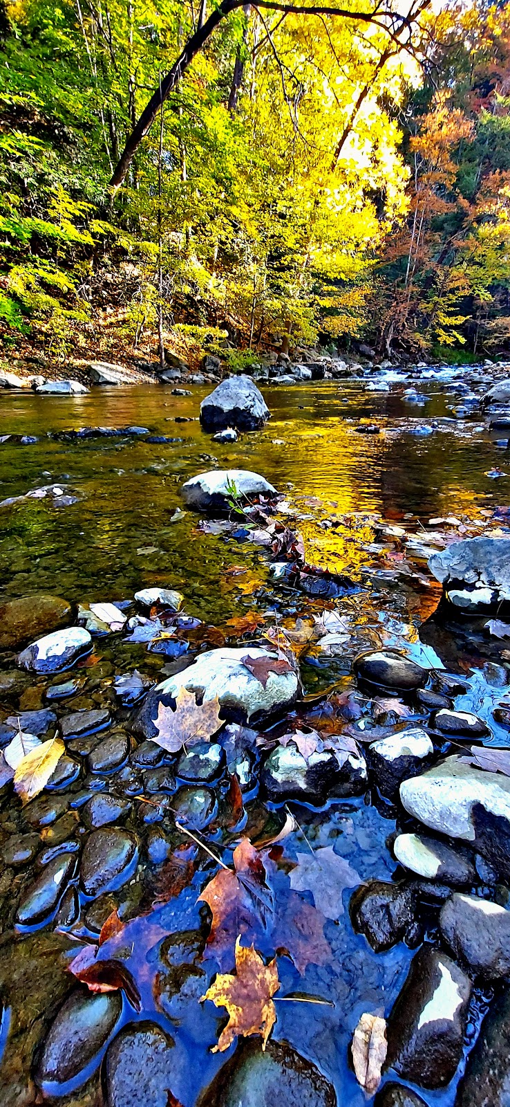 Chittenango Creek