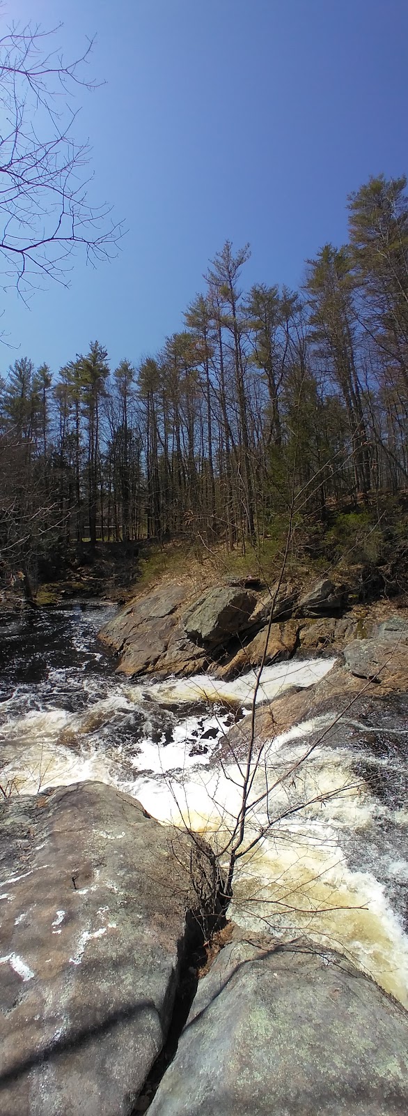 Isinglass River