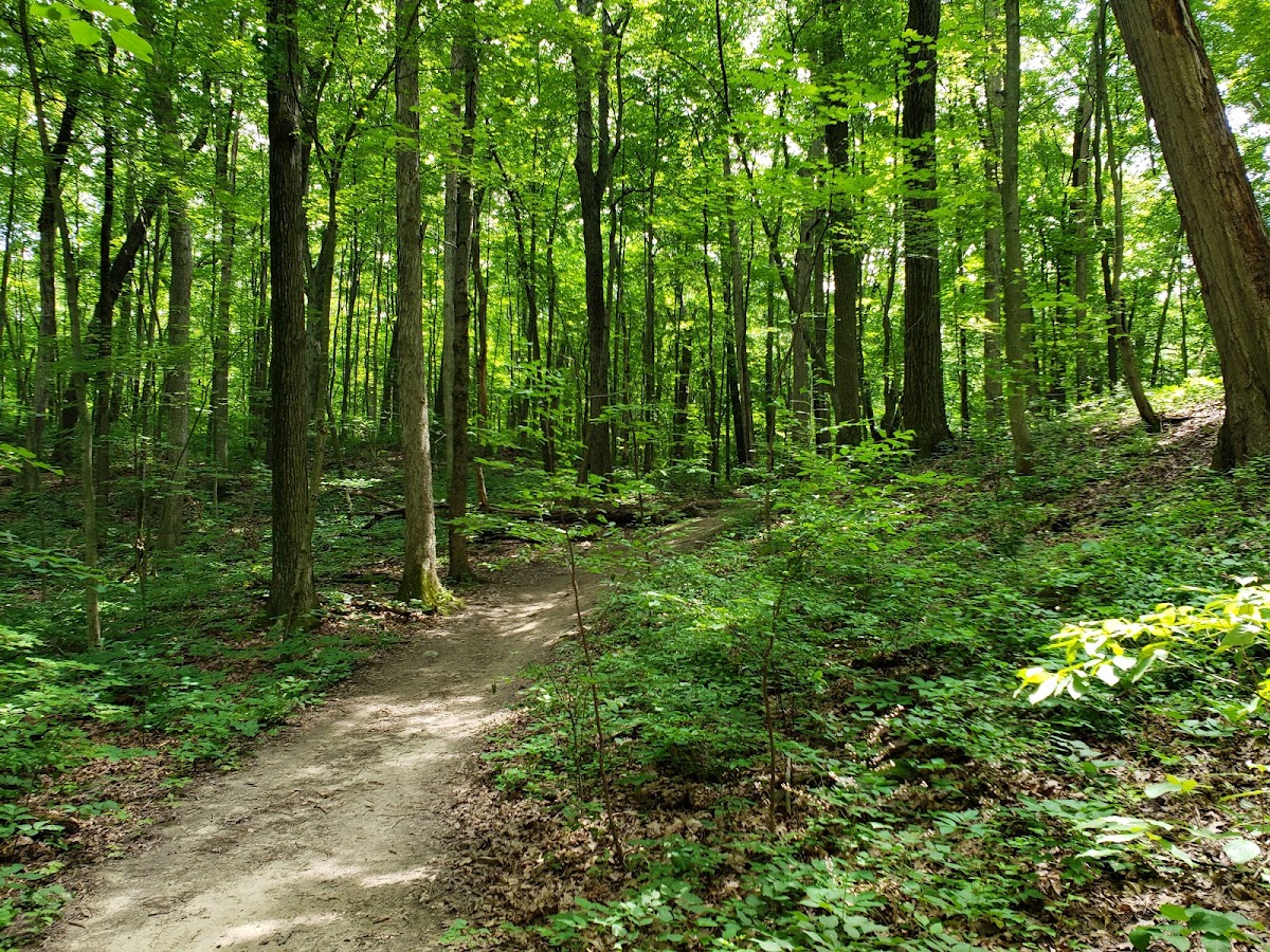 Brighton State Recreation Area