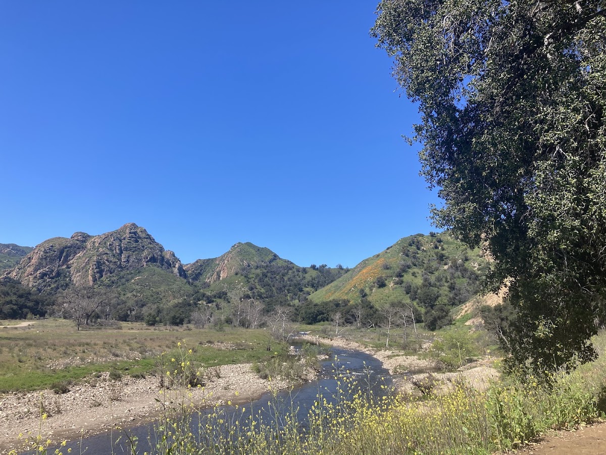 Malibu Creek