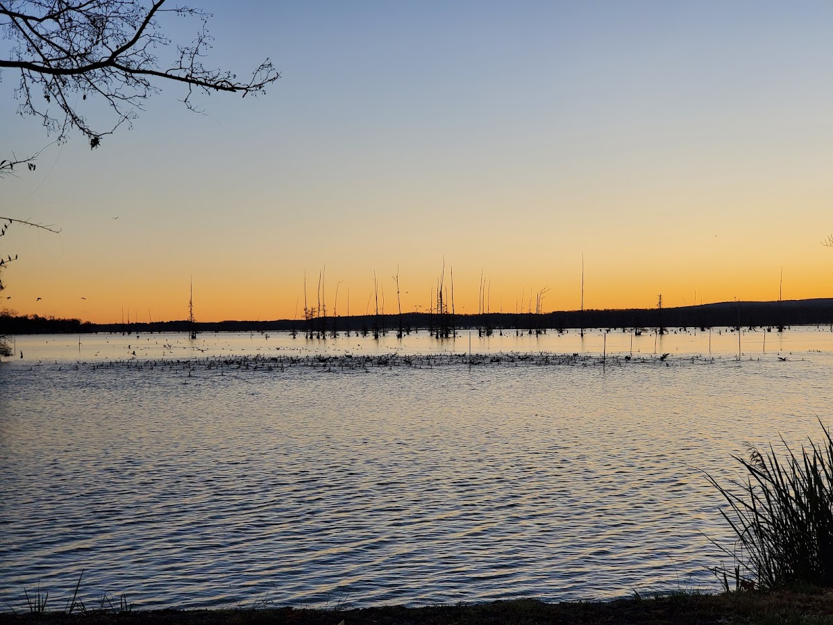 Lake Conway