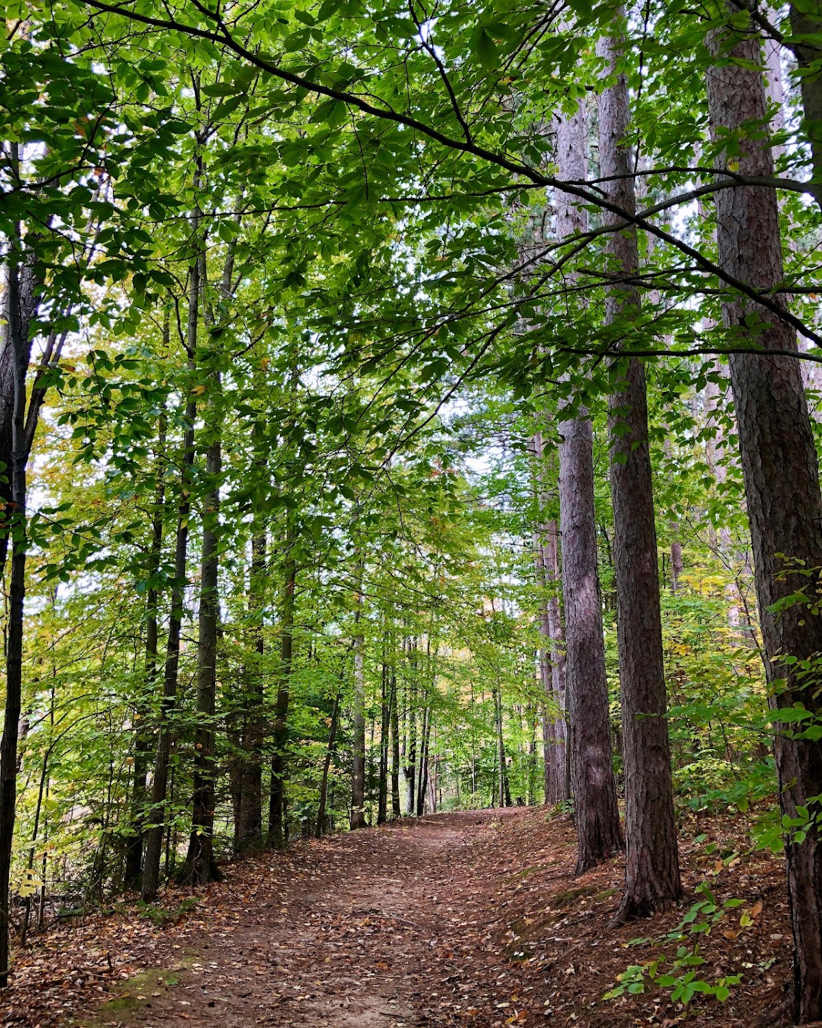 Proud Lake State Recreation Area