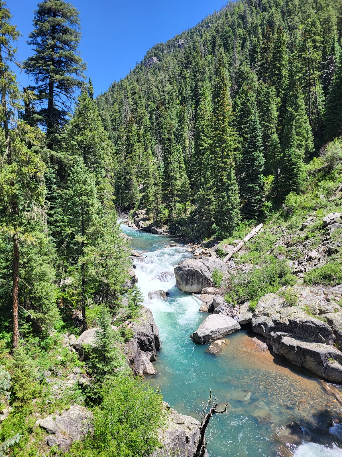 Vallecito Creek