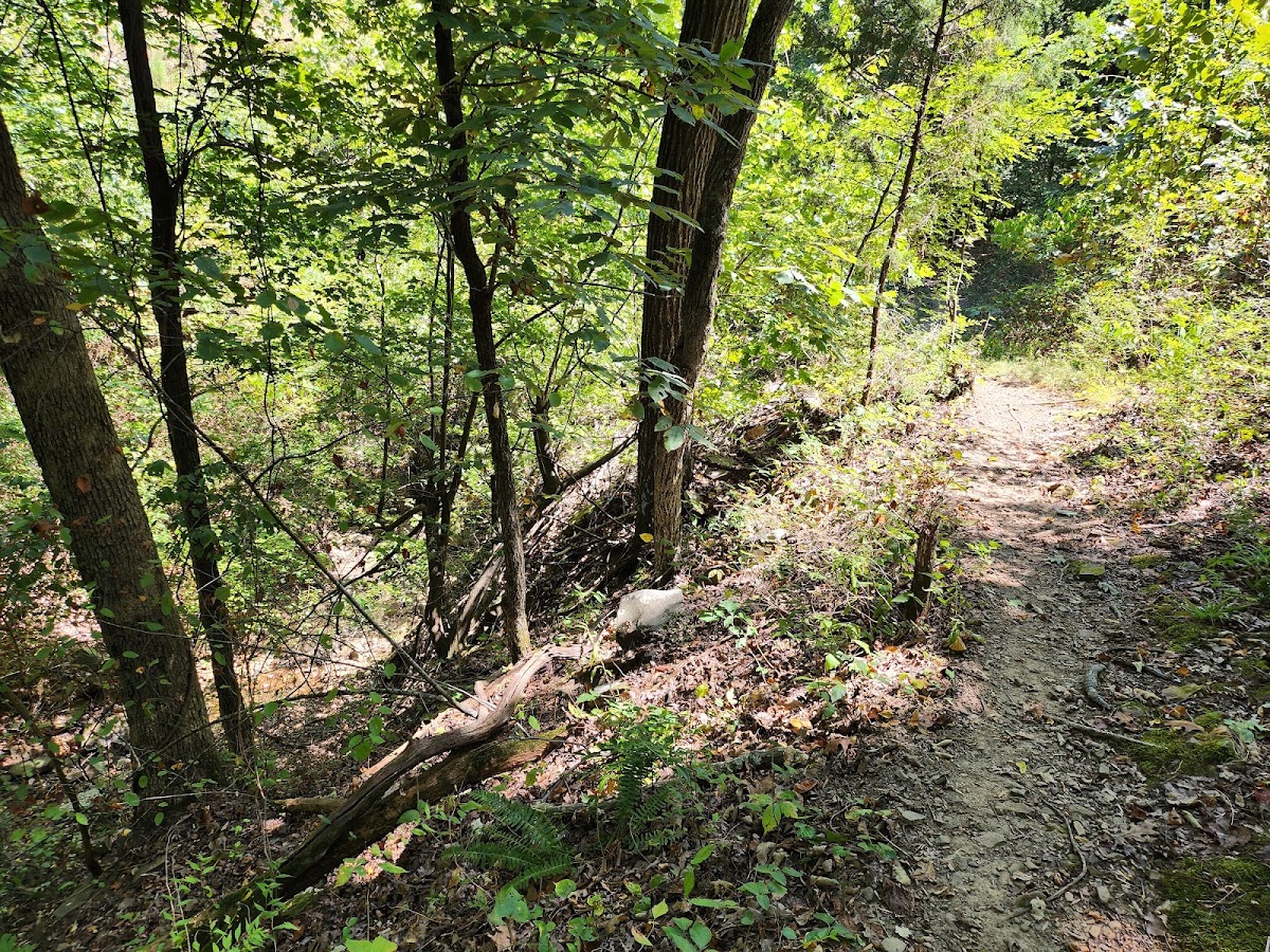 River Mountain Park