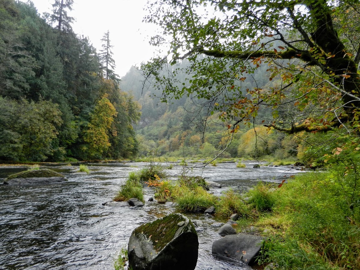 Siuslaw River