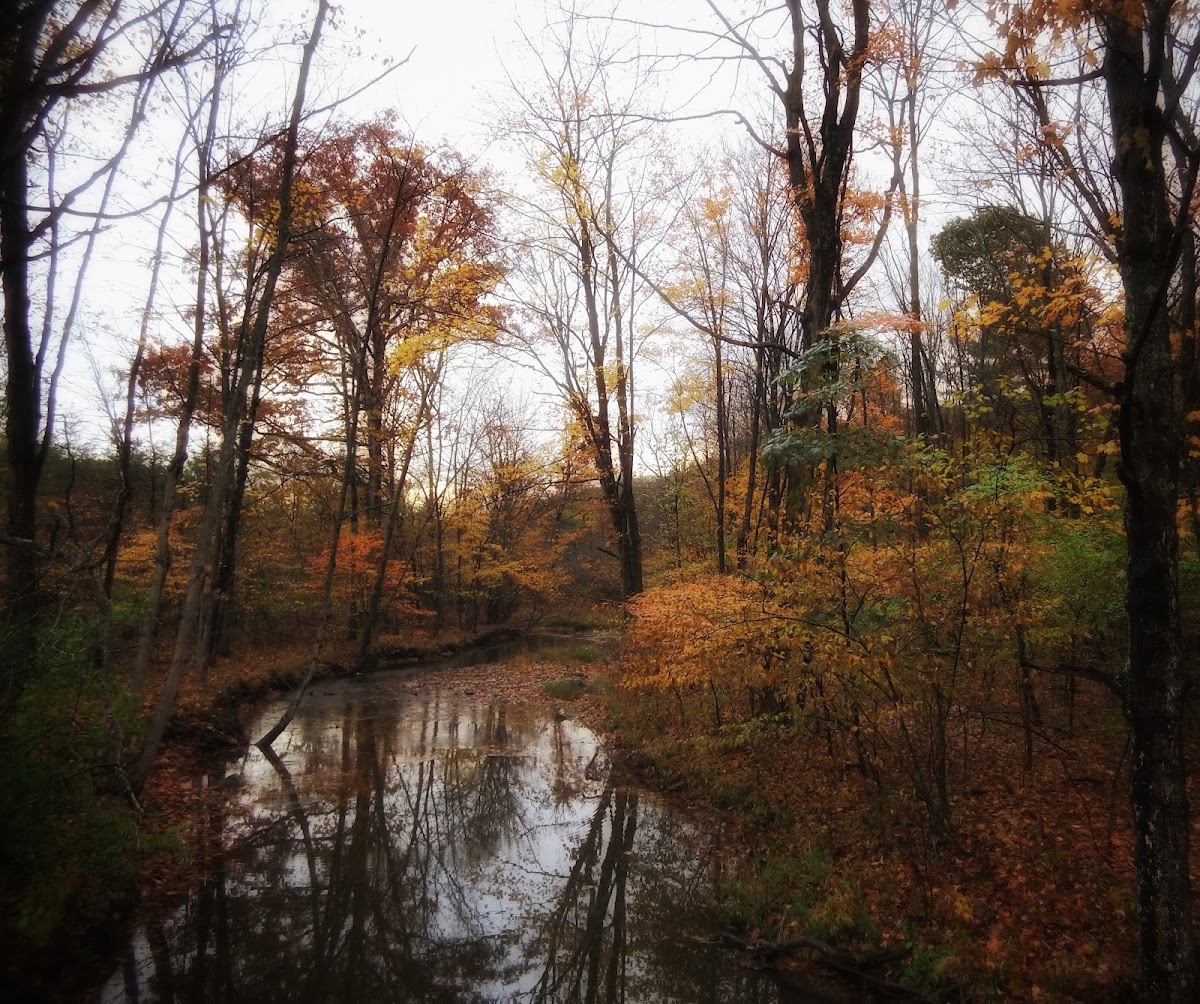 Tuscarora Creek