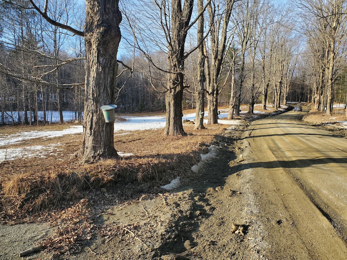 Hopkins Memorial Forest