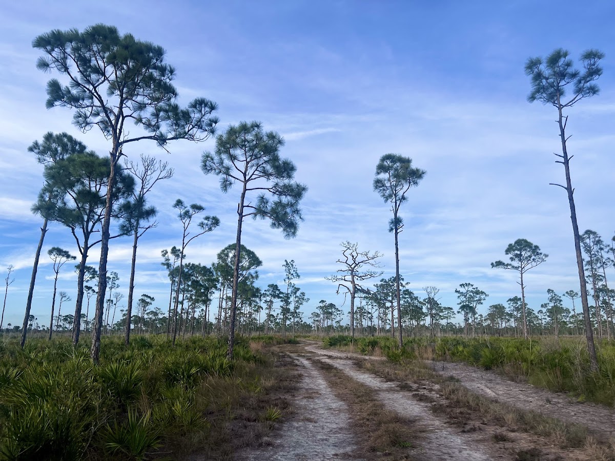 Estero Bay Preserve State Park