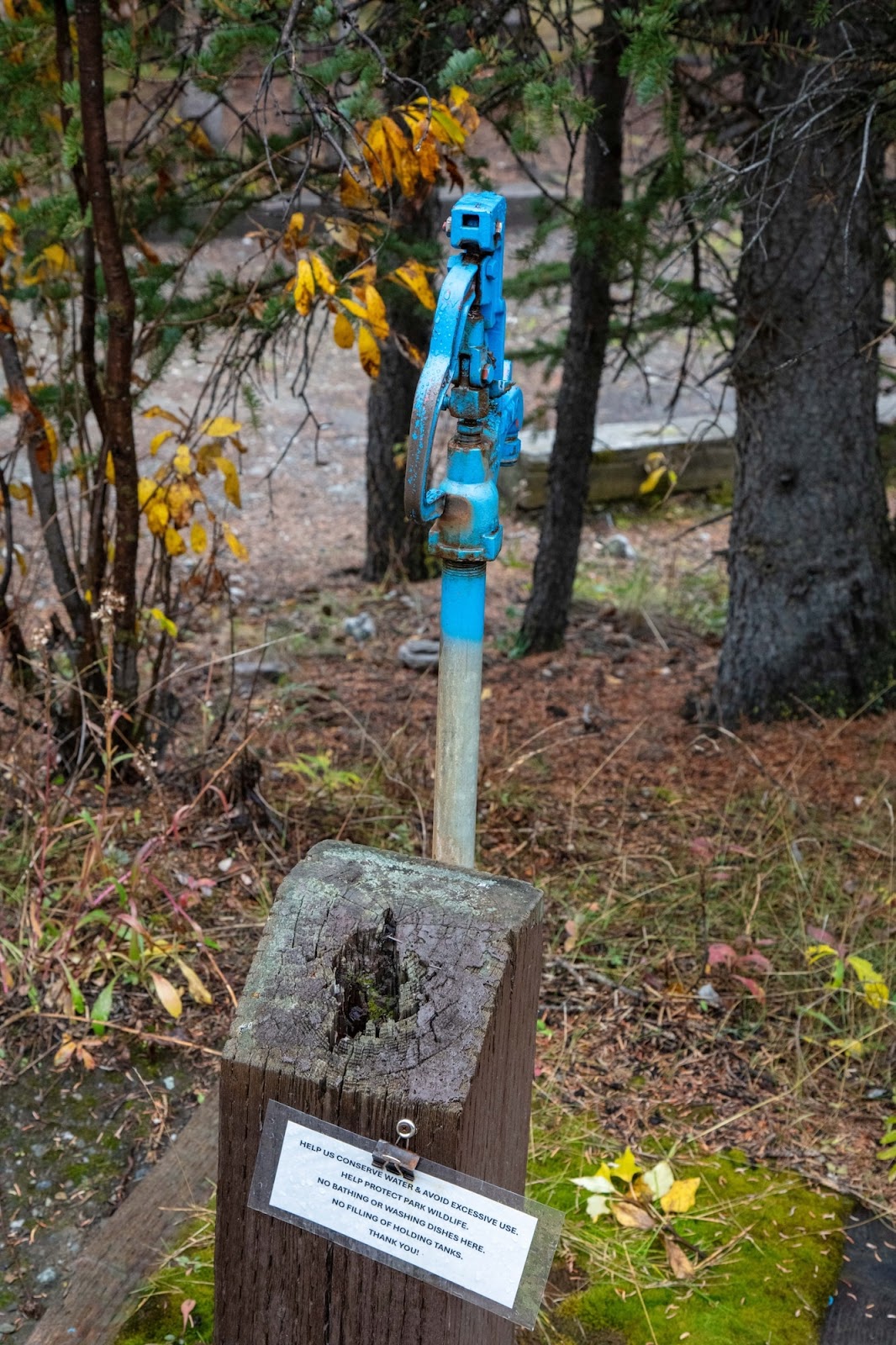 Savage Campground