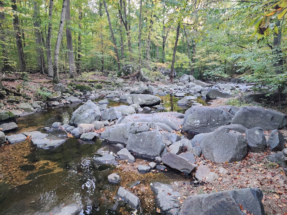 Bringhurst Woods Park