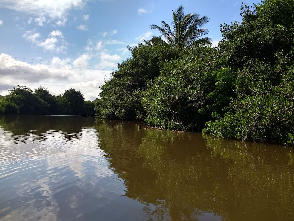 Anahulu River