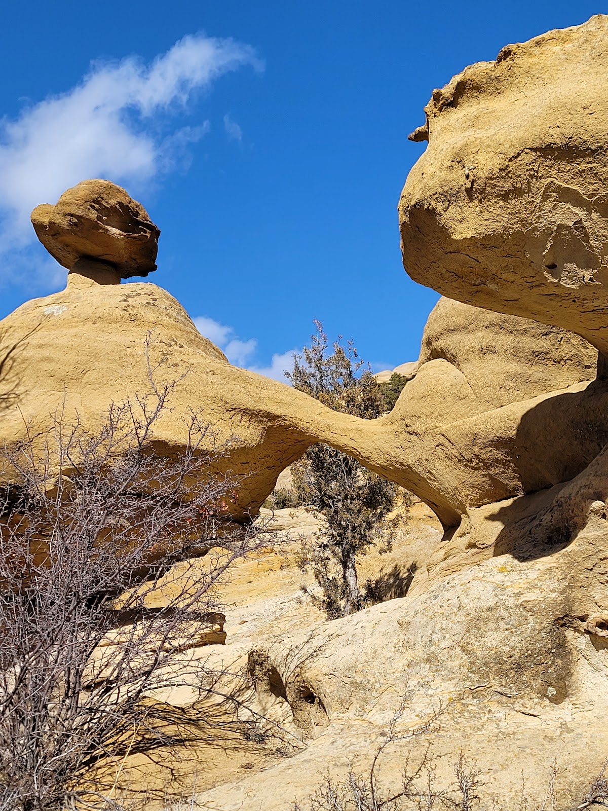 Pump Canyon Wash