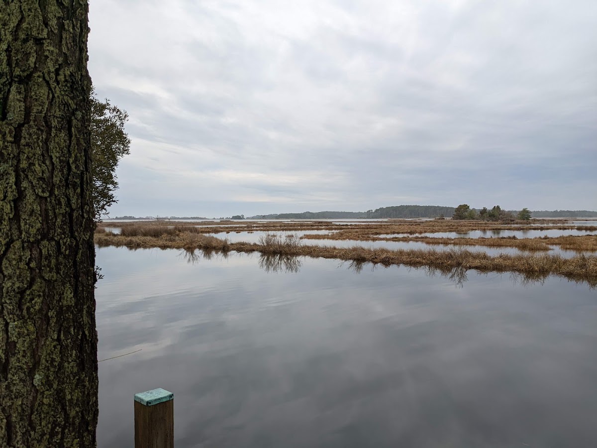 Little Assawoman Bay