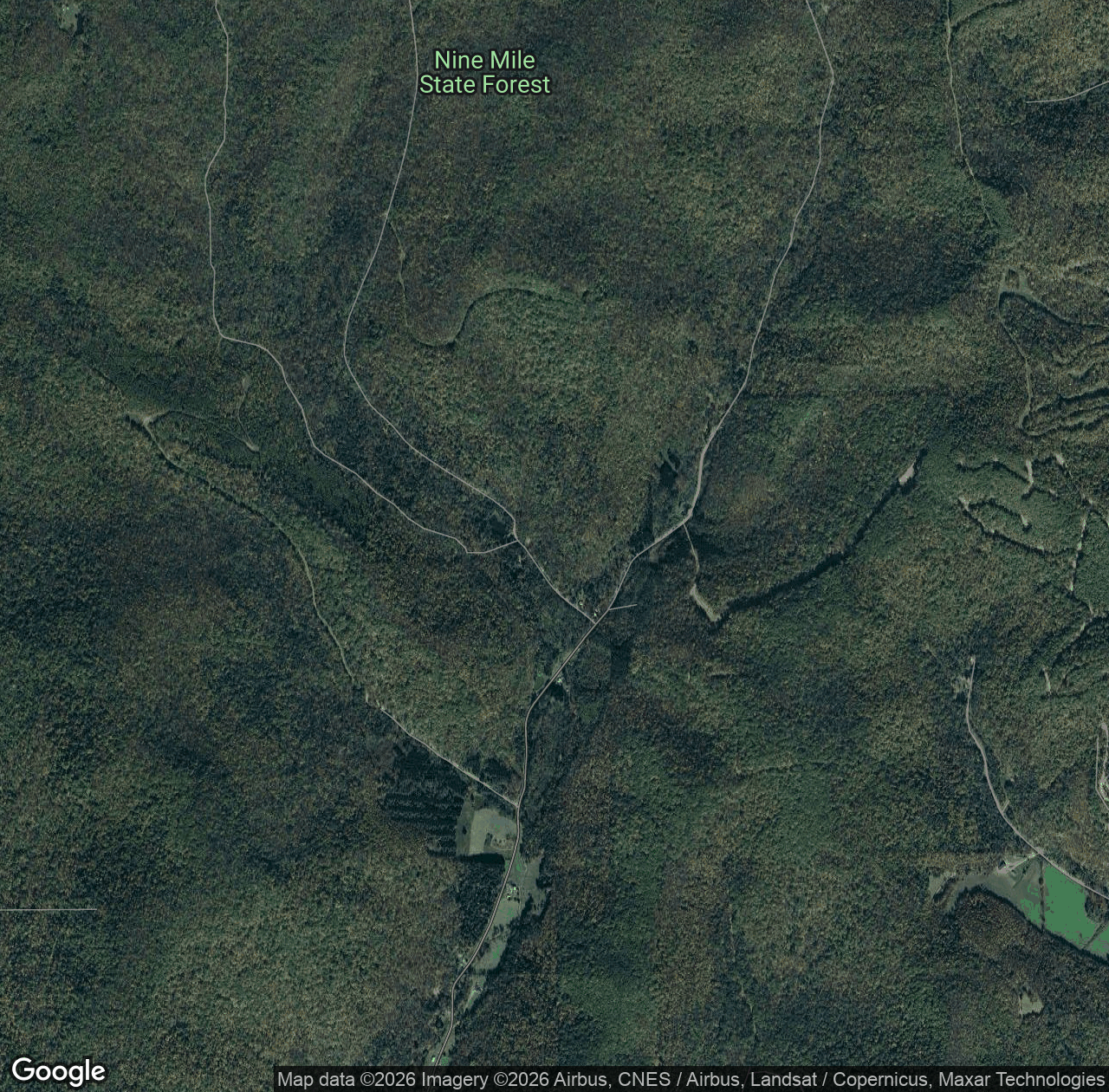 Nine Mile Creek State Forest