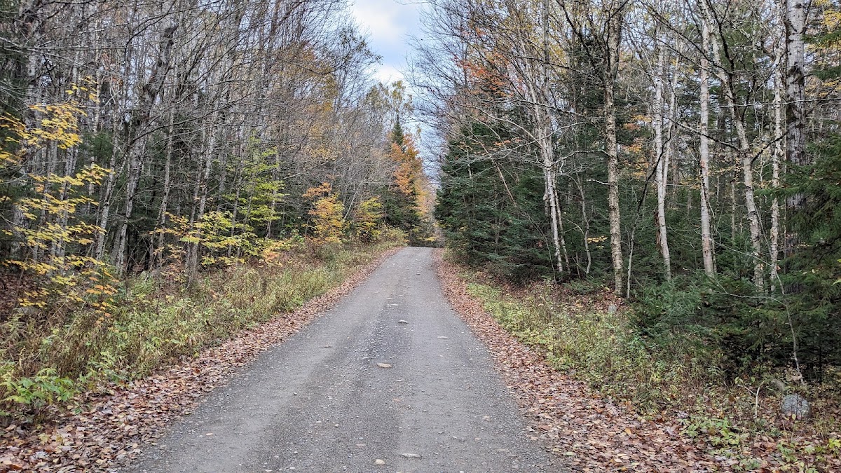 Moose River Plains Camping Area