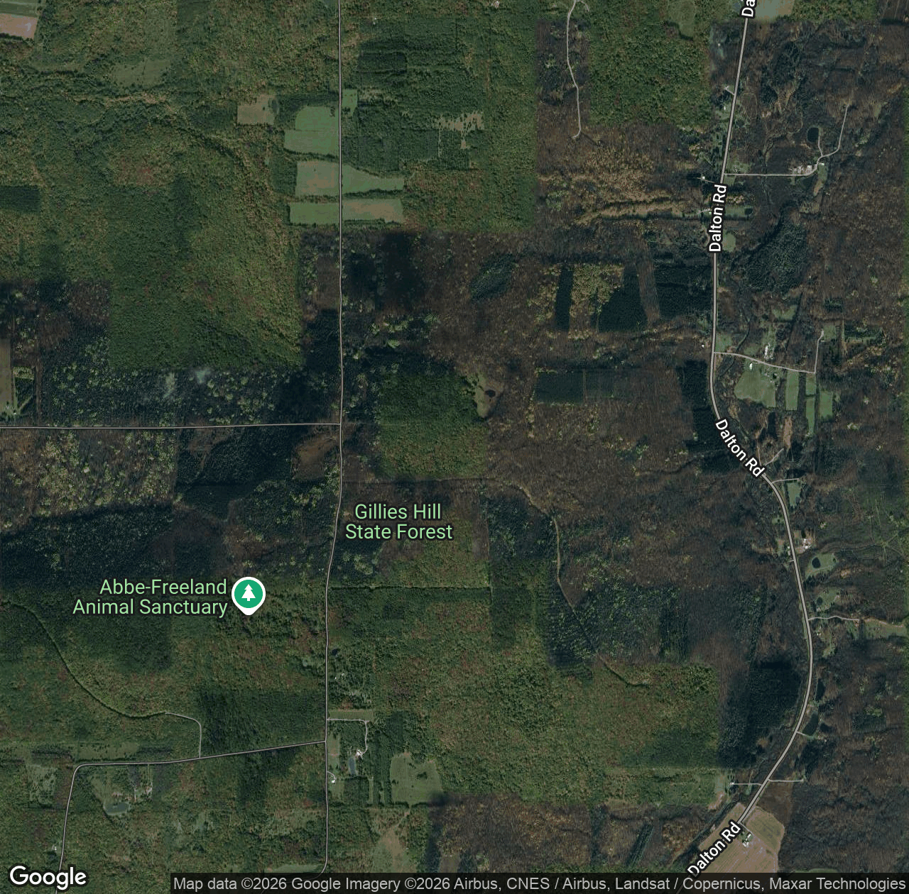 Gillies Hill State Forest