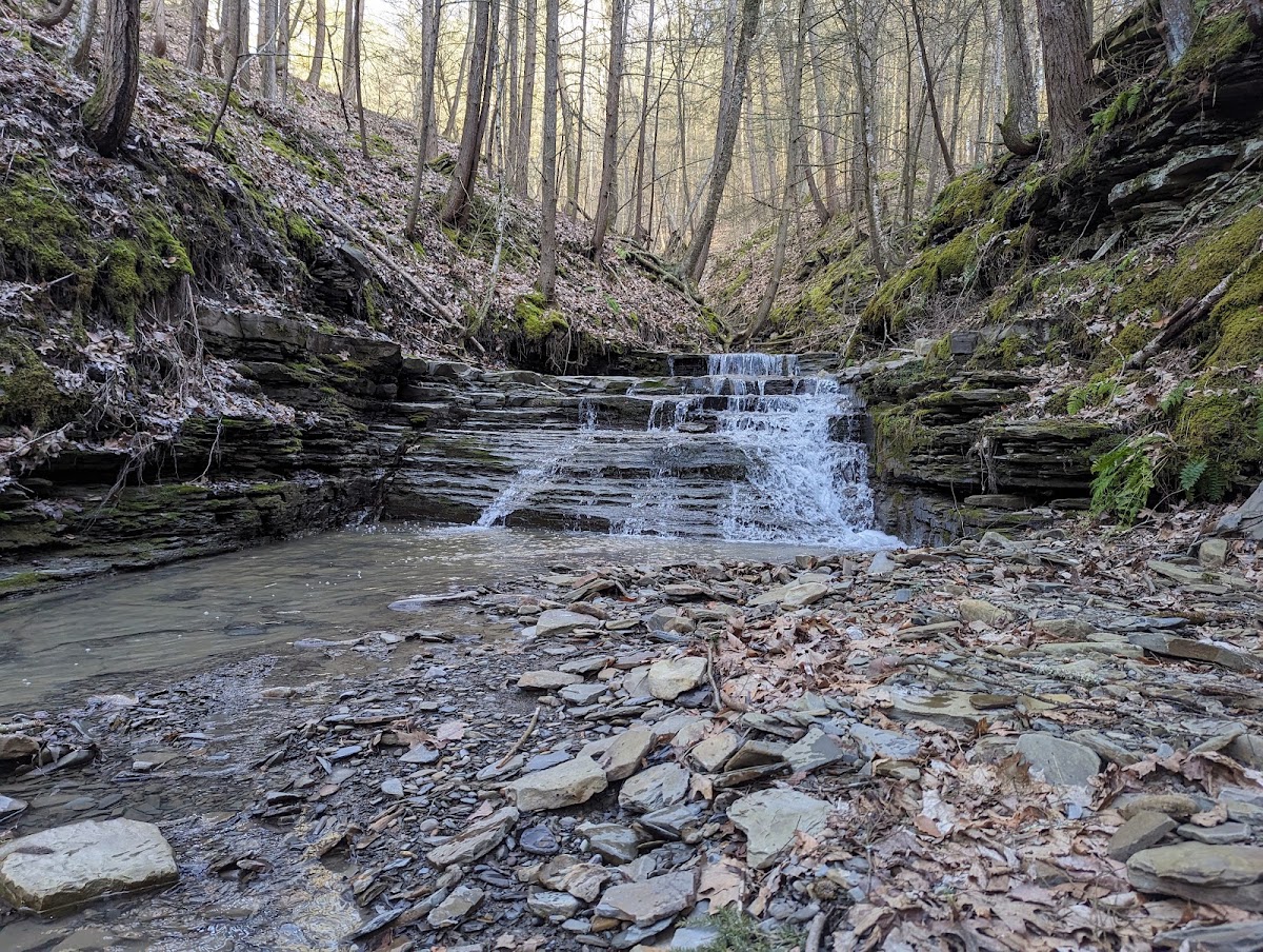 Italy Hill State Forest