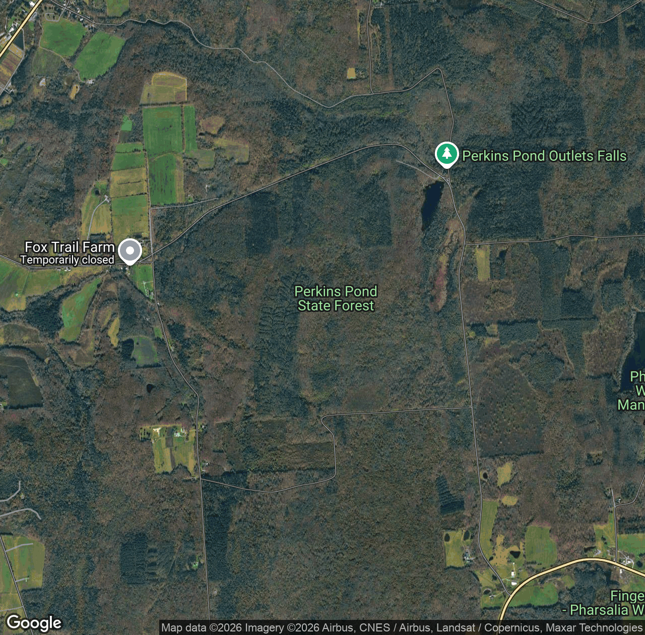 Perkins Pond State Forest