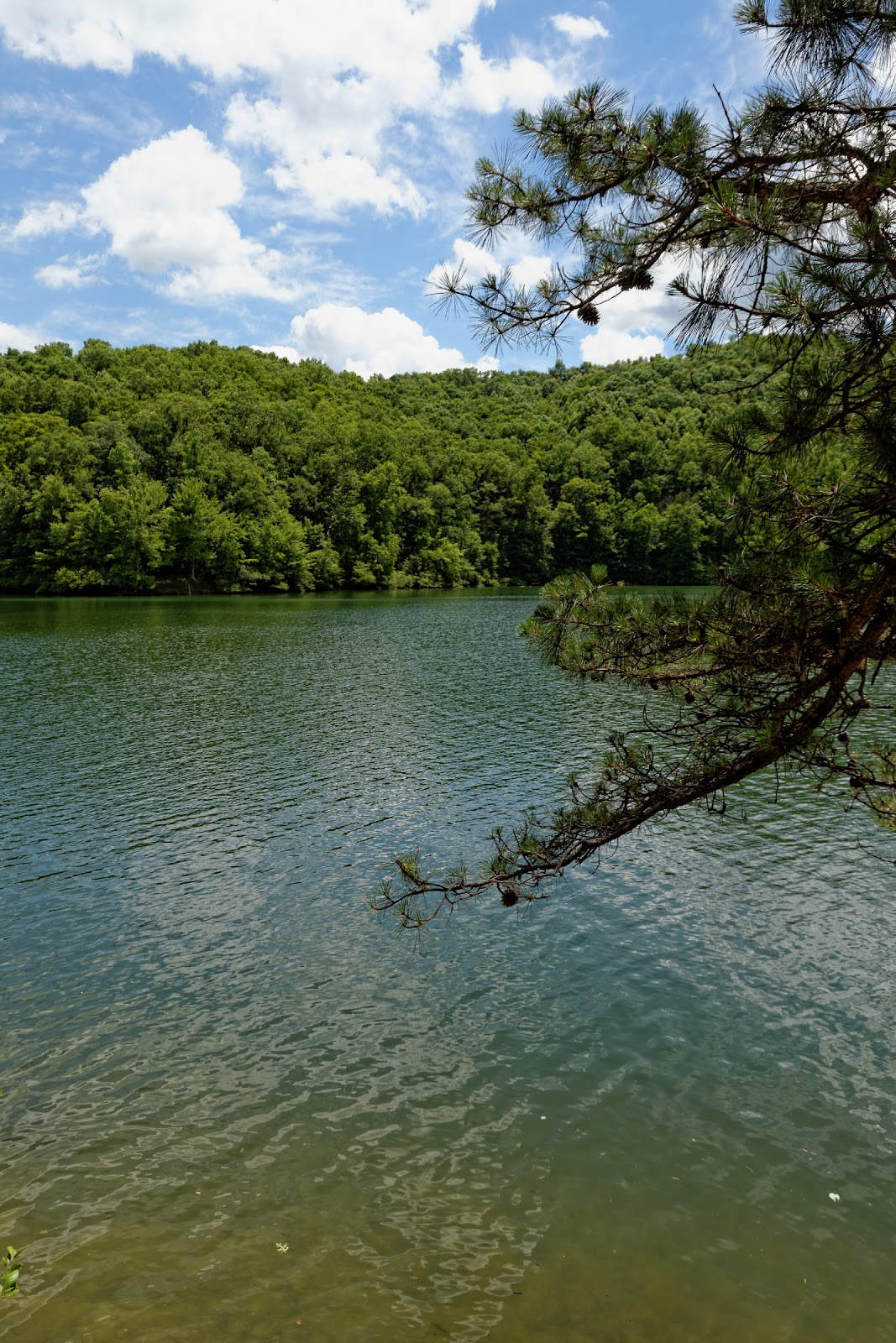 East Lynn Lake