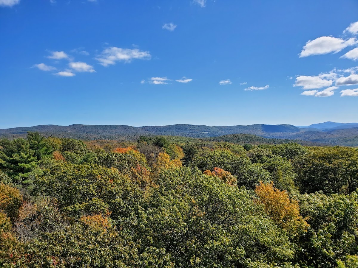 Beebe Hill Multiple Use Area