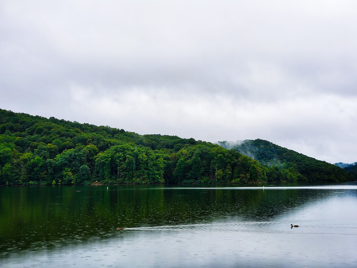 Beech Fork Lake