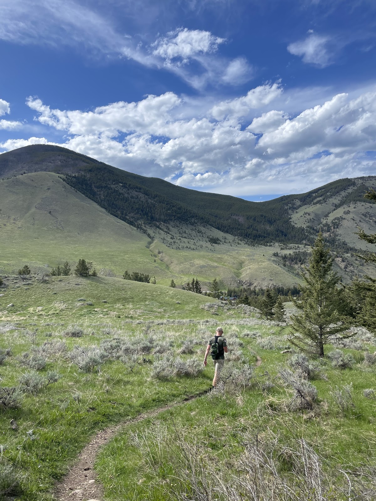 Mount Maurice Trail