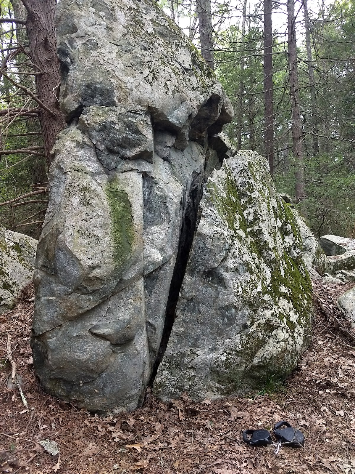 Georgetown-Rowley State Forest