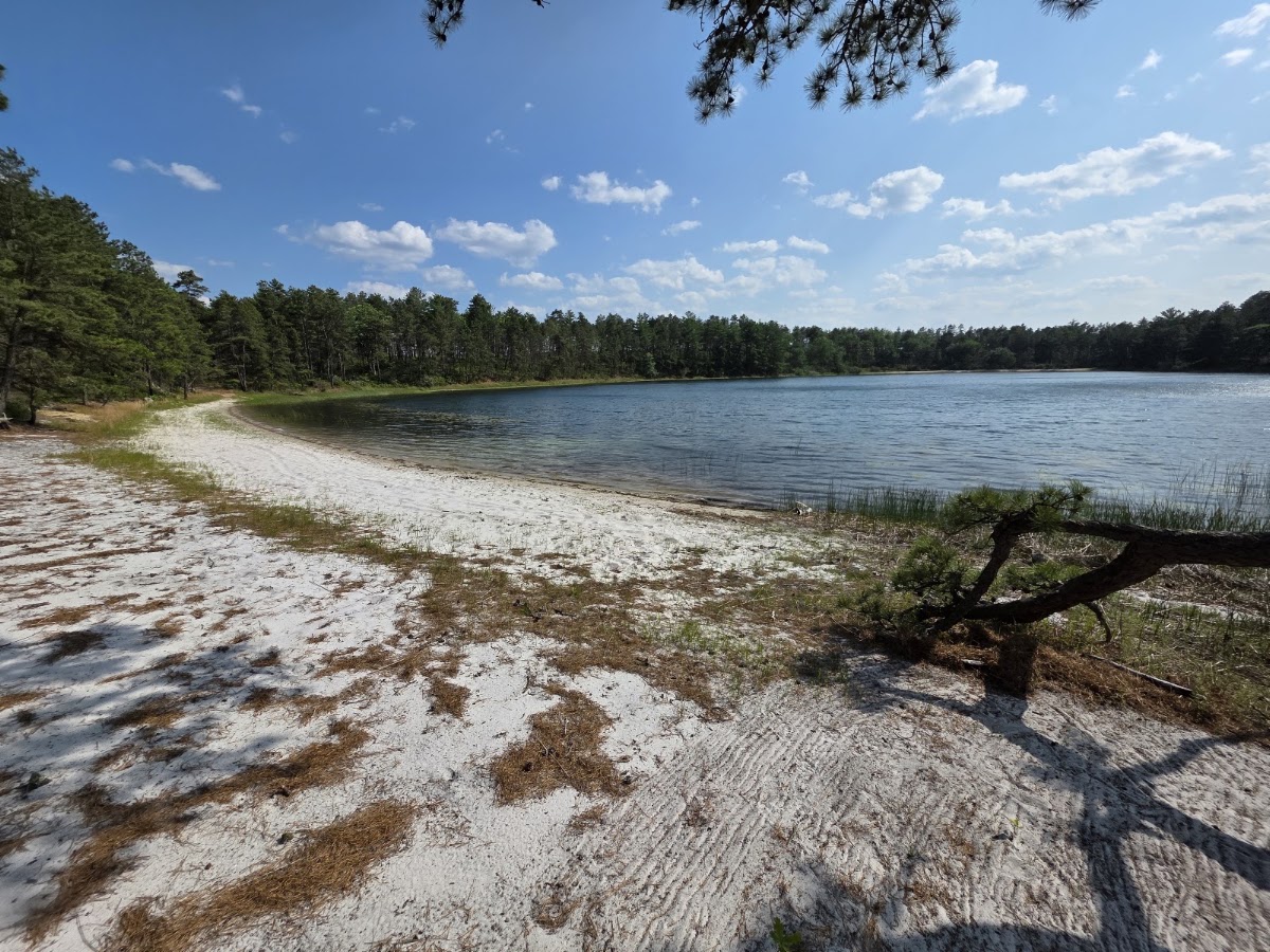 Cachalot Scout Reservation