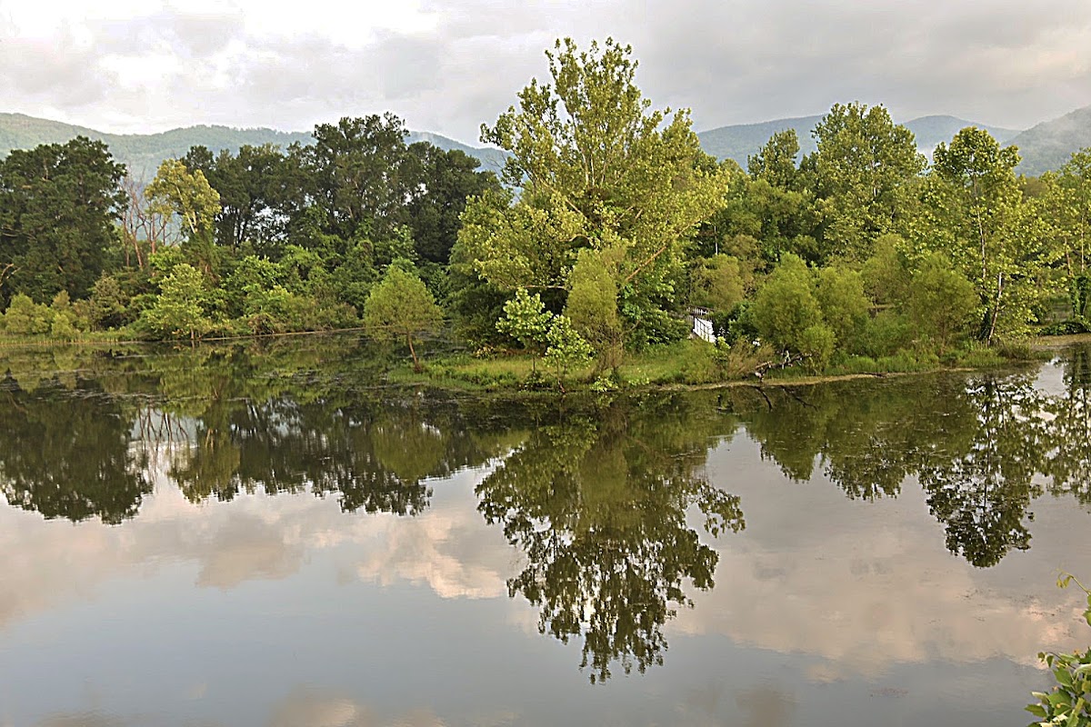 Cove Lake