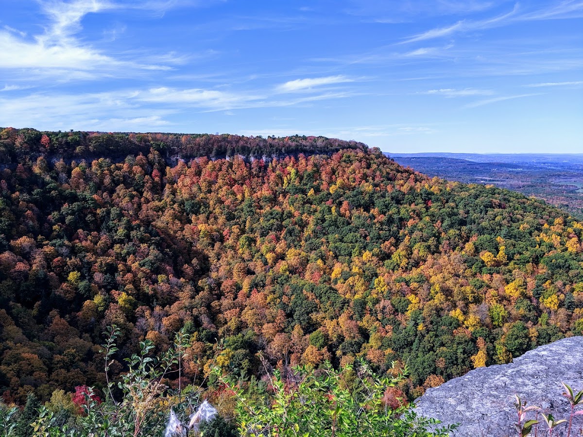 Thacher State Park