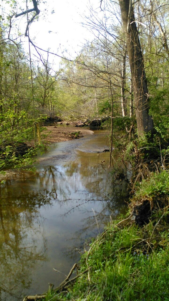 West Fork Clarks River