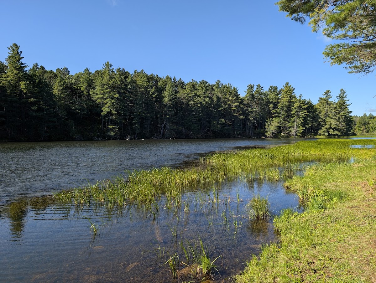 Macomb Reservation State Park