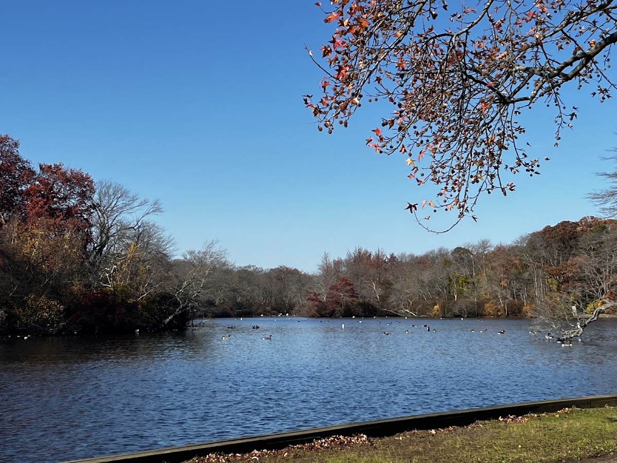 Belmont Lake State Park