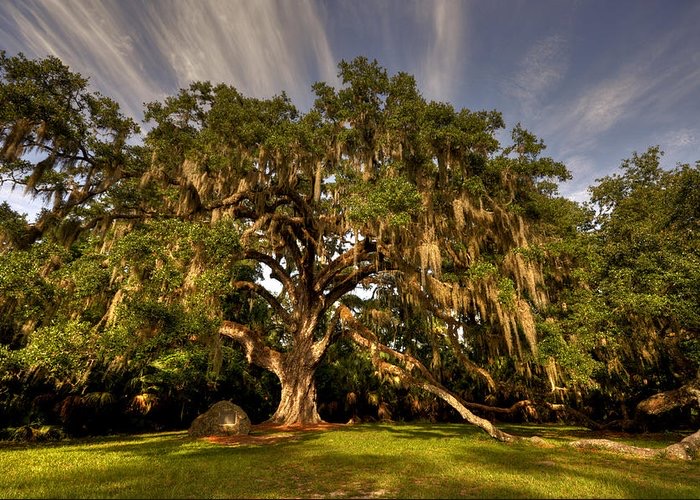 Bulow Creek State Park