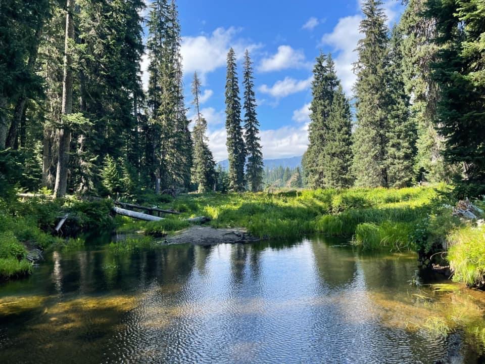 North Santiam River