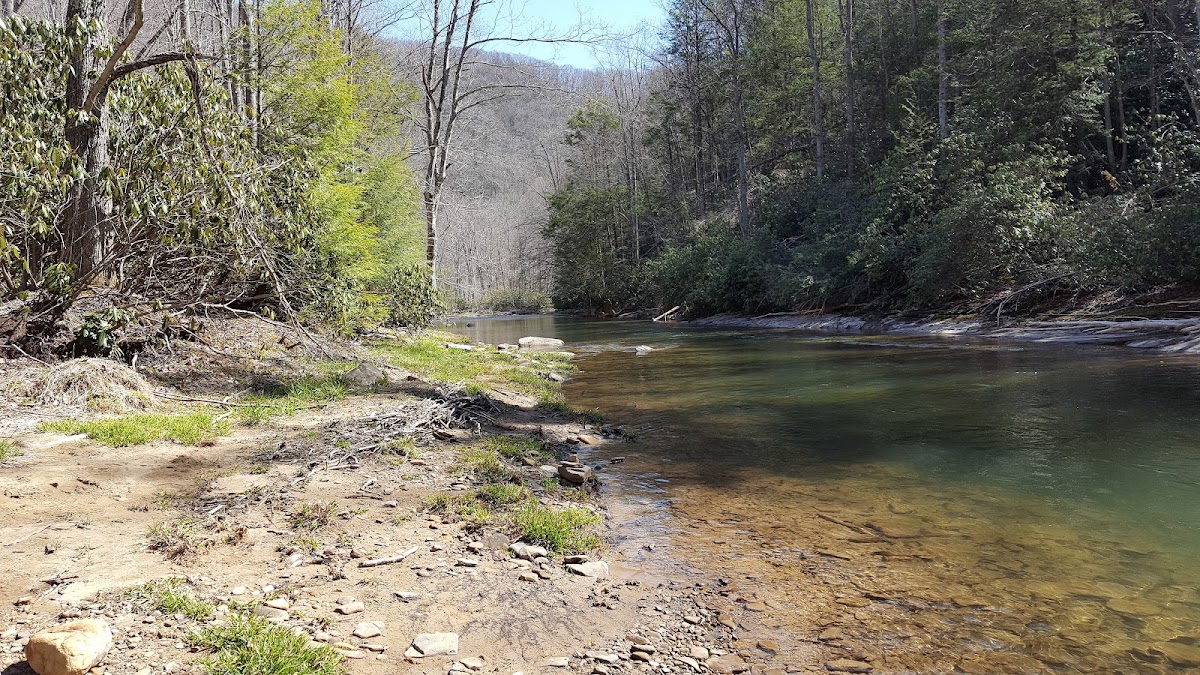 Glady Fork