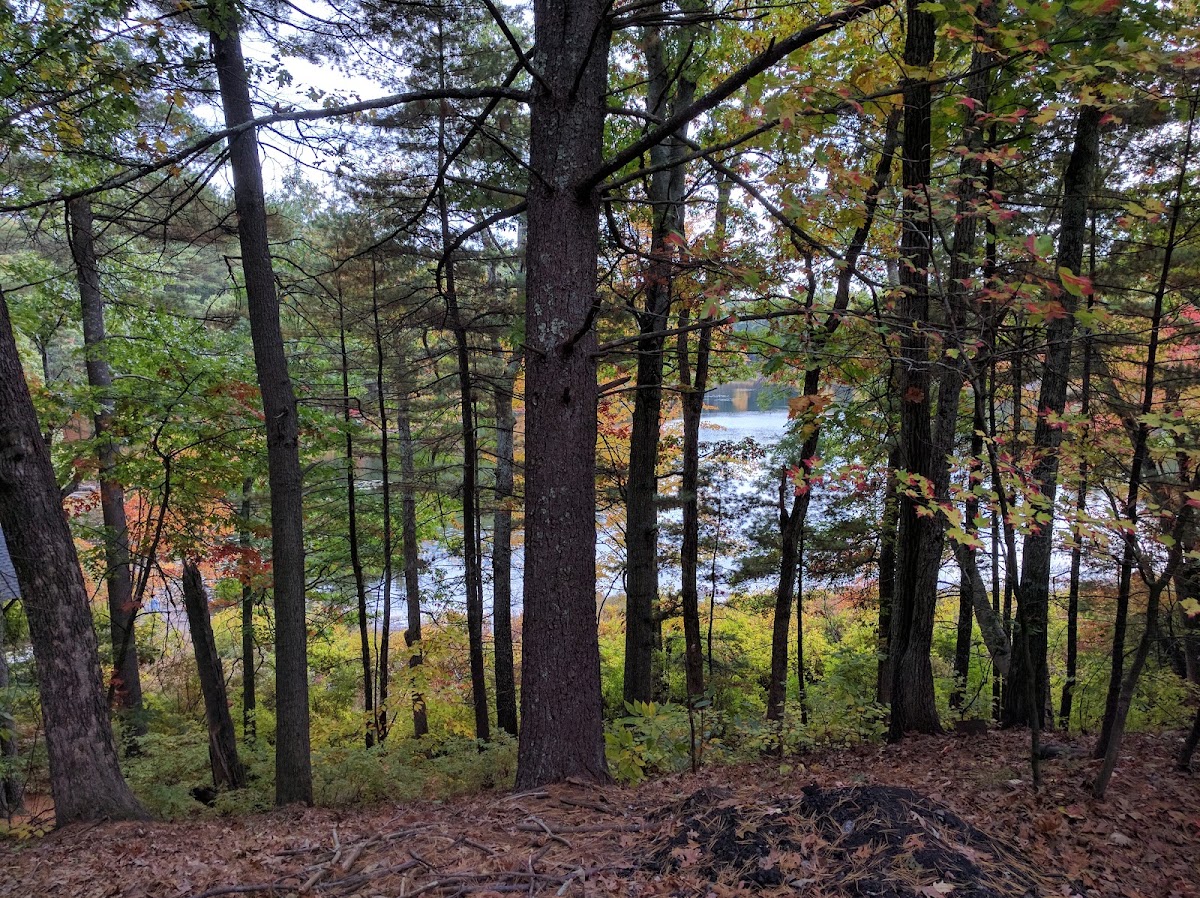 Stony Brook Conservation Land