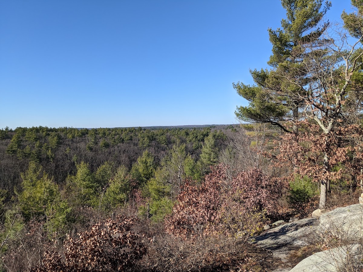 Peppercorn Hill