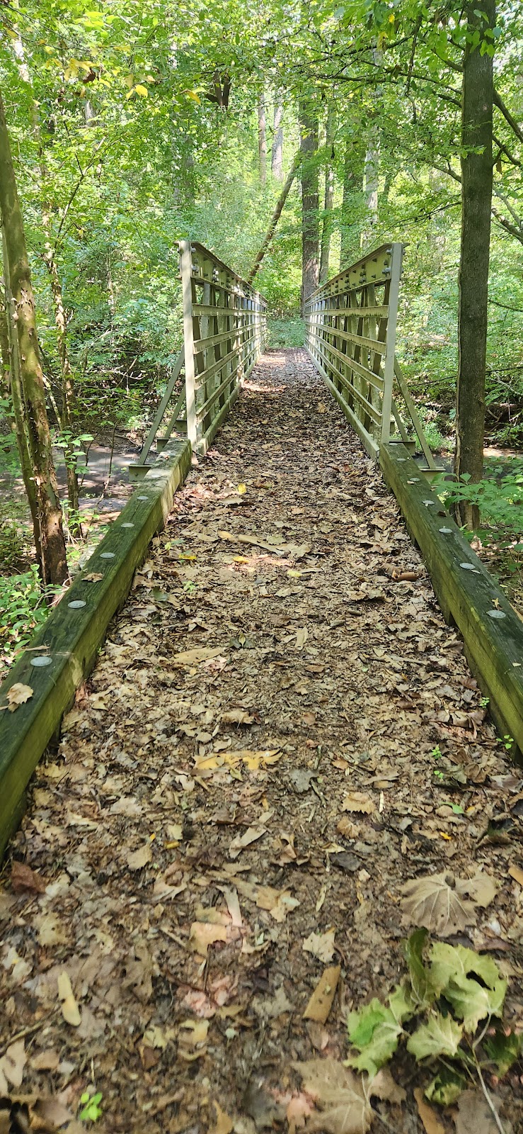 Palmetto Trail Enoree Passage