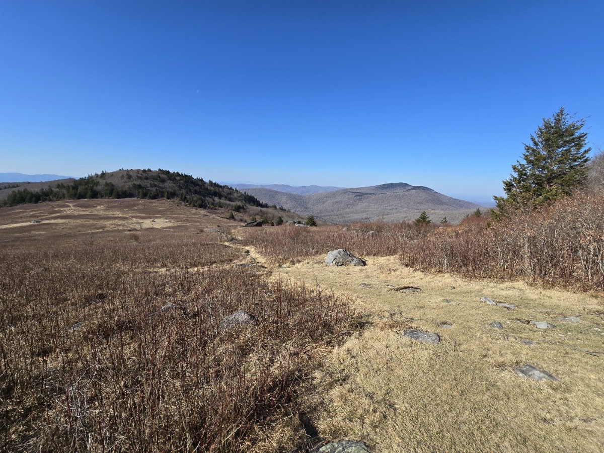 Lewis Fork Trail