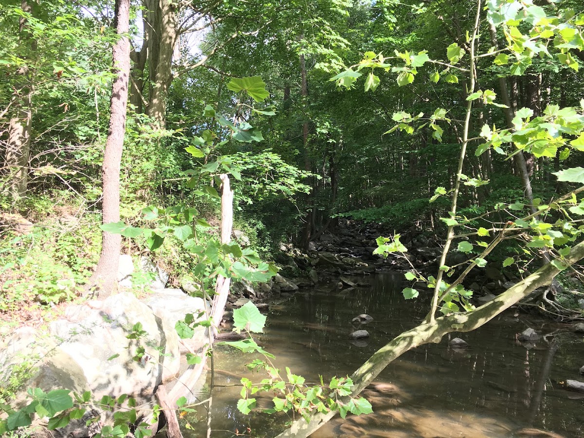 Little Antietam Creek